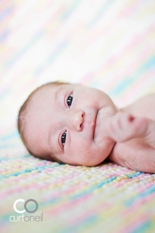 Sault Ste Marie Baby Photography - Brynn at 7 days 