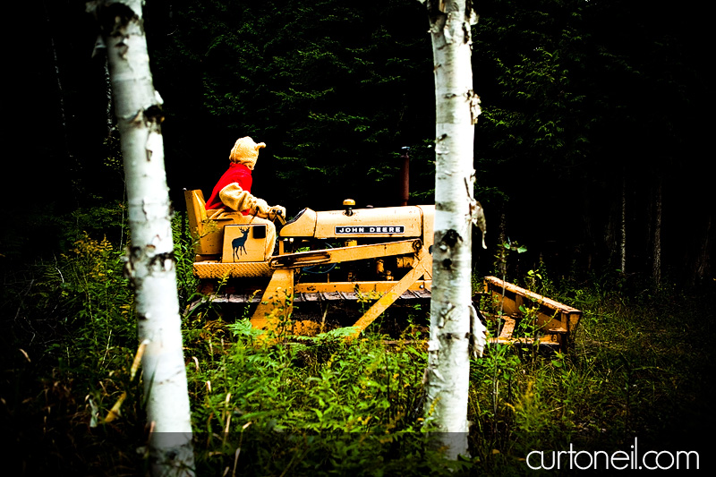 Sault Ste Marie Photographer - Bear visits camp
