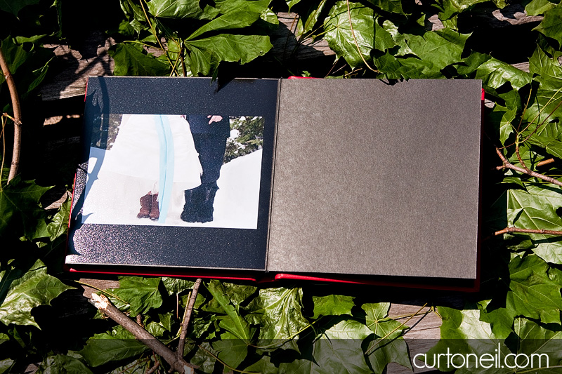 Brag Book - Curt O'Neil Photographer - Wedding and Lifestyle Photographer