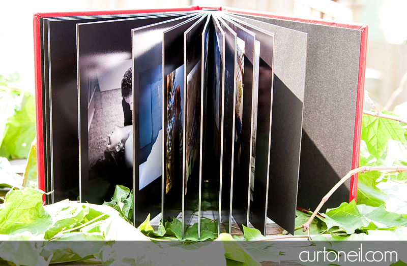 Brag Book - Curt O'Neil Photographer - Wedding and Lifestyle Photographer