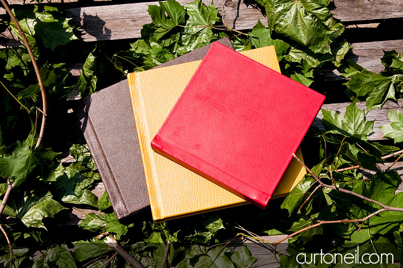 Brag Book - Curt O'Neil Photographer - Wedding and Lifestyle Photographer