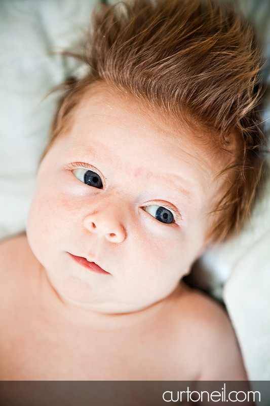 Baby Cooper - Infant Shoot - 2 months old