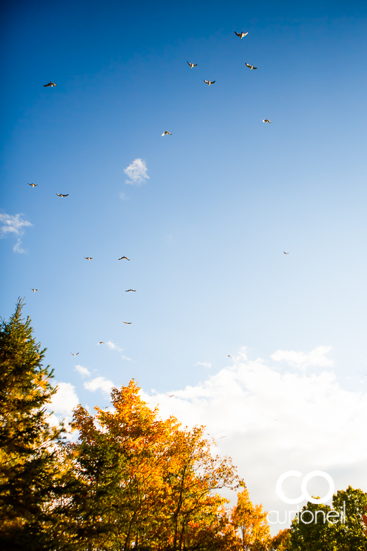 Sault Ste Marie Engagement Photography - Candace and Ryan - fall engagement session, canoe, Thessalon