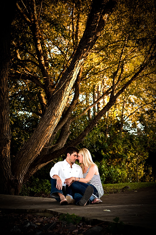 Sault Ste Marie Engagement Photos - Chelsea and Trevor under a tree - sneak peek