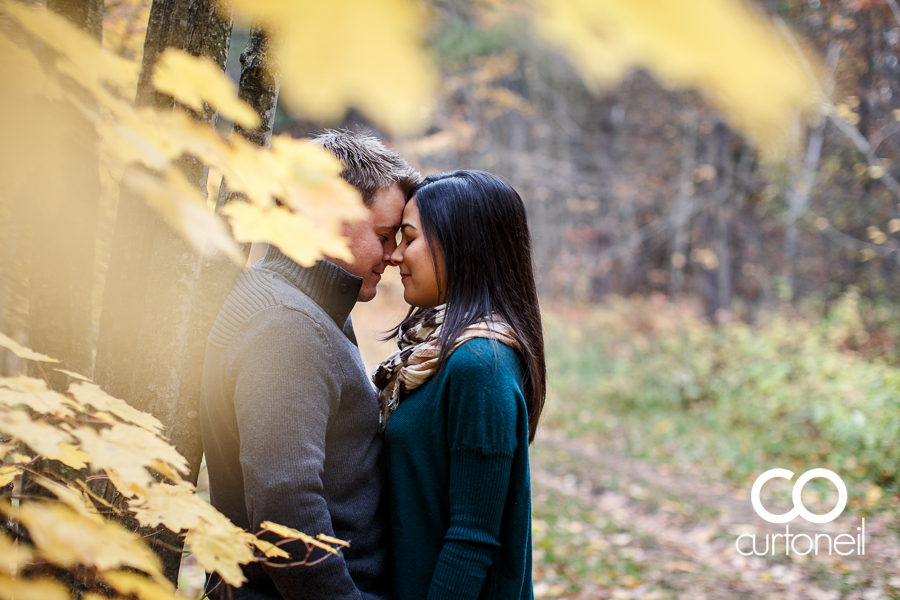 Sault Ste Marie Engagement Photography - Jess and Trav - fall, Hiawatha Highlands, trees, cold
