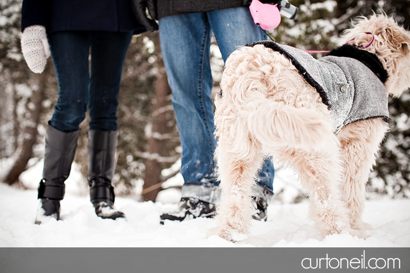 Sault Ste Marie Engagement Photos - Jess and Kyle - Fort Creek