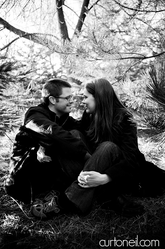 Engagement Pictures - in the trees - Jenn and Matt