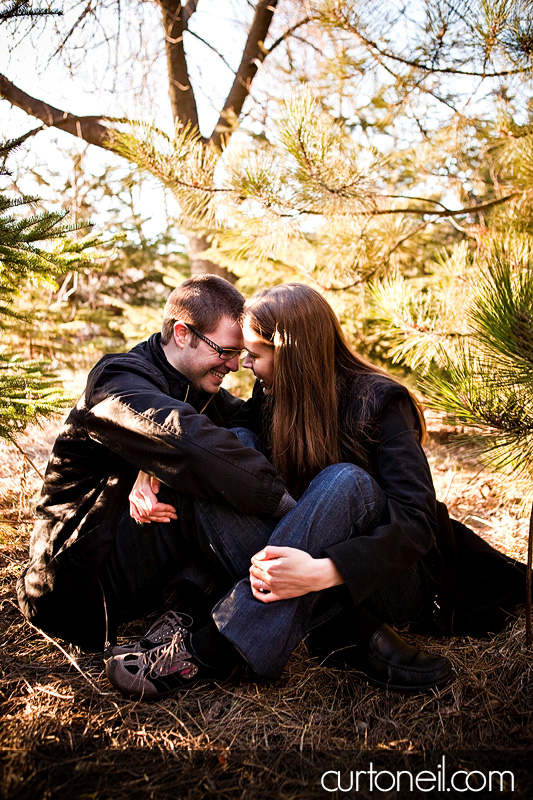 Engagement Pictures - in the trees - Jenn and Matt
