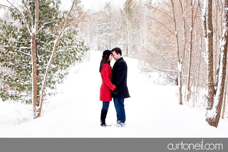 Sault Ste Marie Engagement Shoot - Krista and Brian - Fort Creek, winter, snow storm, dog