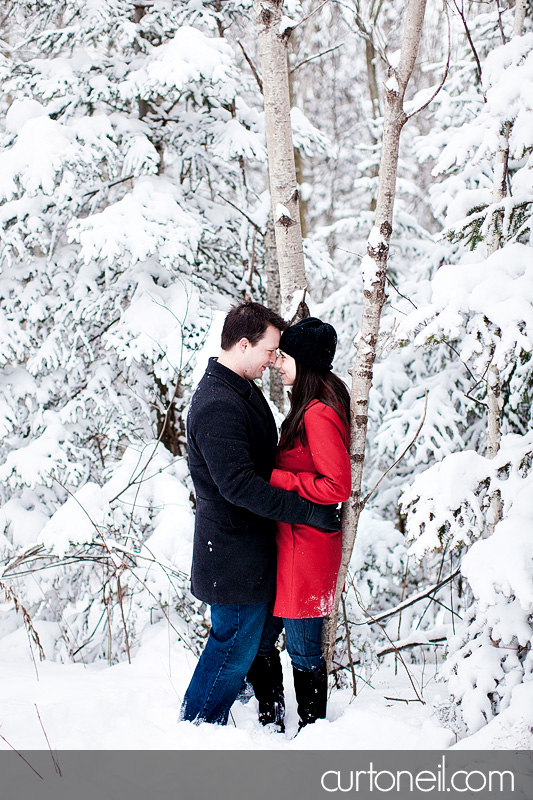 Sault Ste Marie Engagement Shoot - Krista and Brian - Fort Creek, winter, snow storm, dog