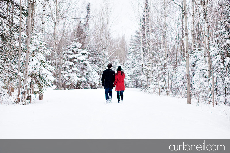Sault Ste Marie Engagement Shoot - Krista and Brian - Fort Creek, winter, snow storm, dog