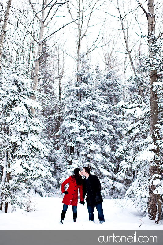 Sault Ste Marie Engagement Shoot - Krista and Brian - Fort Creek, winter, snow storm, dog