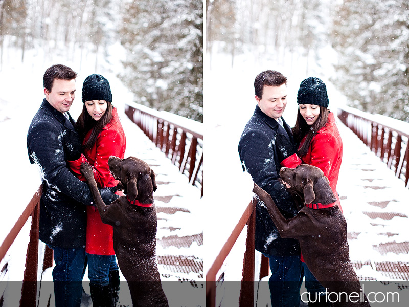 Sault Ste Marie Engagement Shoot - Krista and Brian - Fort Creek, winter, snow storm, dog