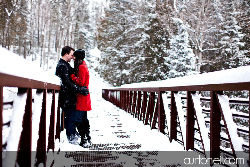Sault Ste Marie Engagement Shoot - Krista and Brian - Fort Creek, winter, snow storm, dog