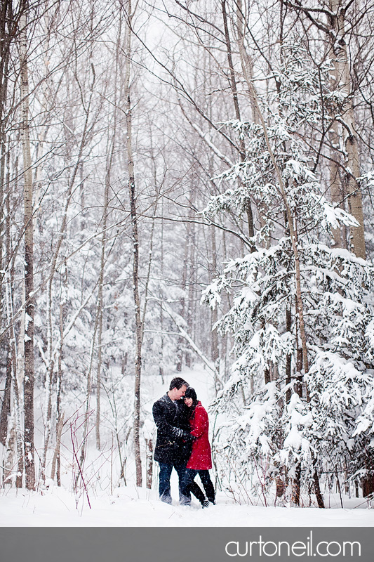 Sault Ste Marie Engagement Shoot - Krista and Brian - Fort Creek, winter, snow storm, dog
