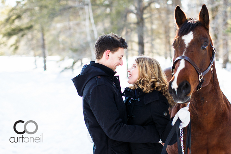 Sault Ste Marie Engagement Photography - Rachel and Adam - winter, cold, snow, horse, dog