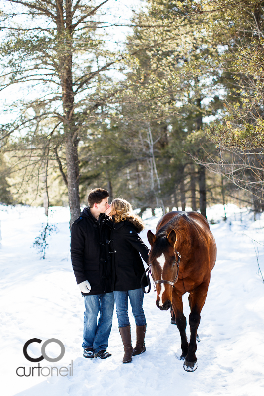 Sault Ste Marie Engagement Photography - Rachel and Adam - winter, cold, snow, horse, dog