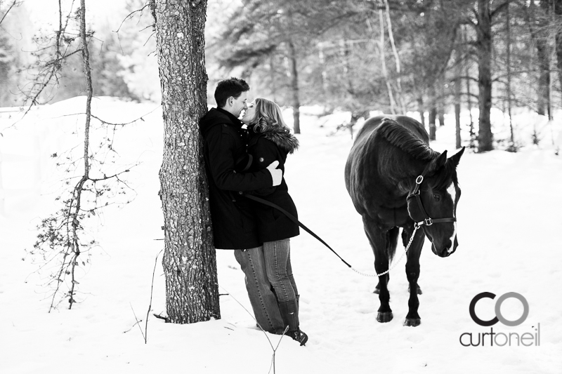 Sault Ste Marie Engagement Photography - Rachel and Adam - winter, cold, snow, horse, dog
