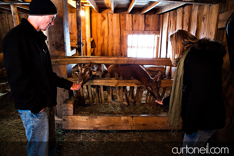 Sault Ste Marie Engagement Photos - Steph and Deryl - winter