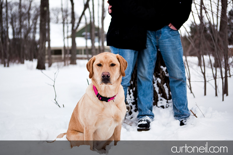 Sault Ste Marie Engagement Photos - Steph and Deryl - winter