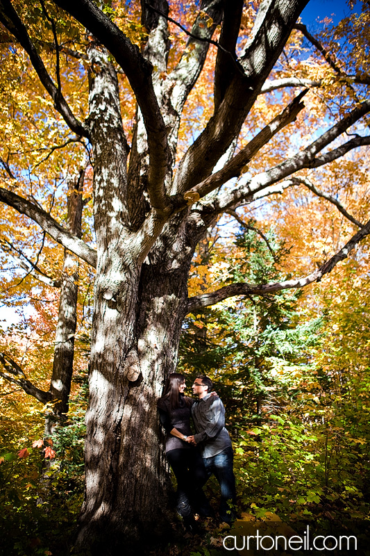 Sault Ste Marie Engagement Photography - Stella and Mike - big tree