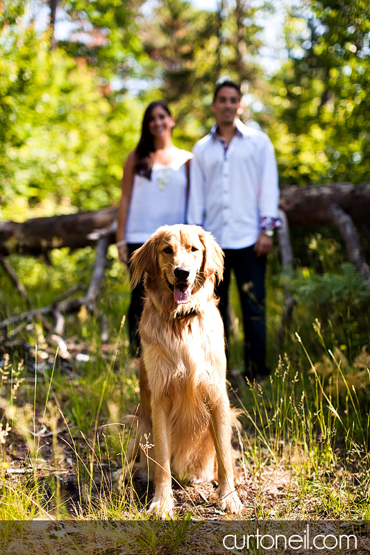 Sault Ste Marie Engagement Photography - Siobhan and Nick, beach and Mark's Bay conversavation area
