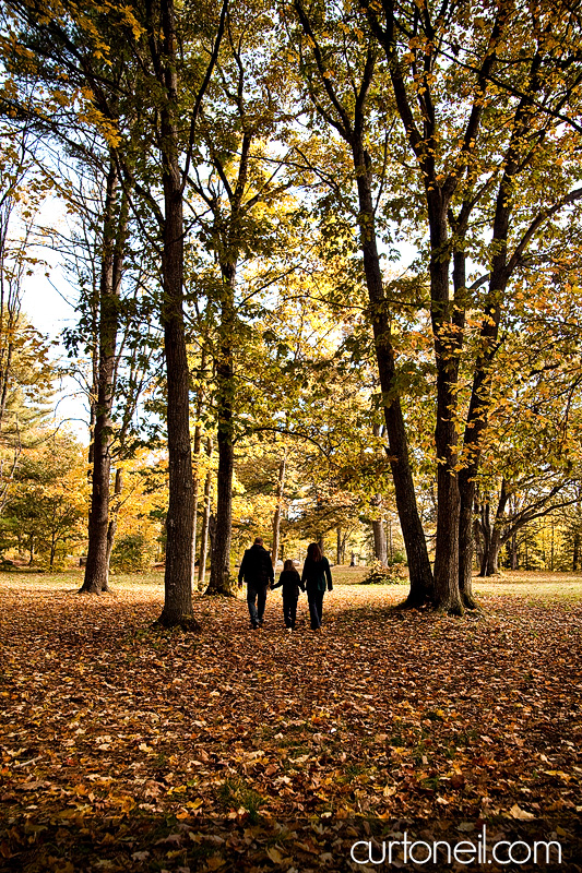 Engagement Shoot - fall walk into trees