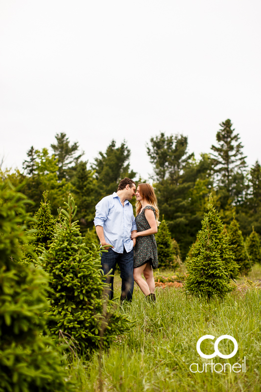 Sault Ste Marie Engagement Photography - Steph and Dan - Mockingbird Hill Farm, summer, rustic