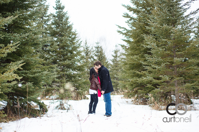 Sault Ste Marie Engagement Photography - Stacey and  Jon - winter, cold, hub trail