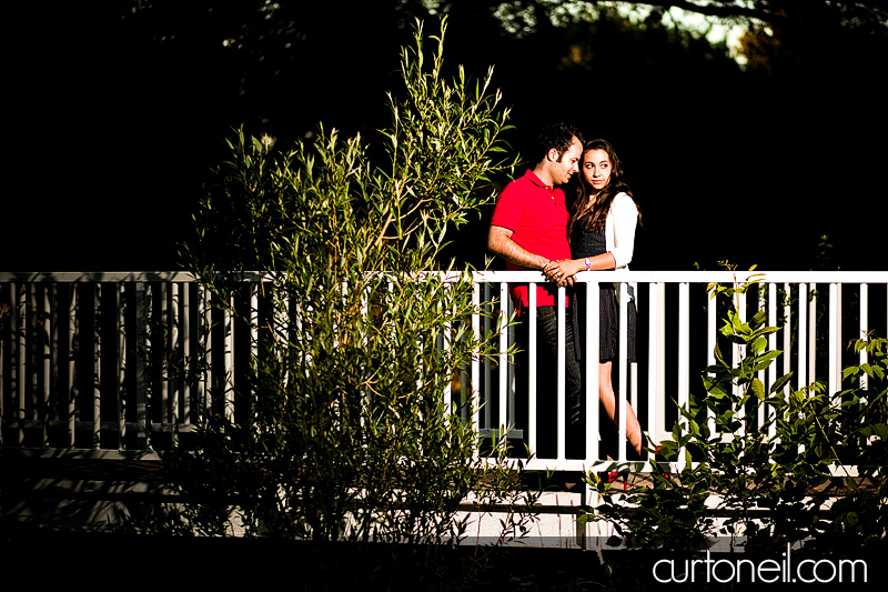Sault Ste Marie Engagement Shoot - Tara and Tony Bellevue Park
