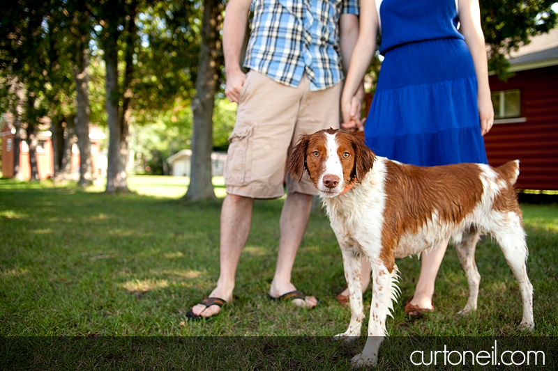 Engagement Shoot - Bridget and Brian - Curt O'Neil Photographer, Wedding Photographer