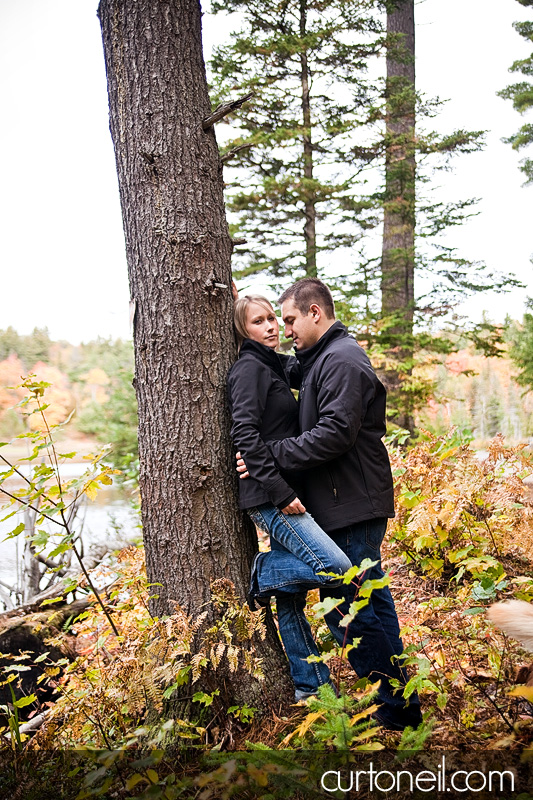 Engagement Shoot - tree