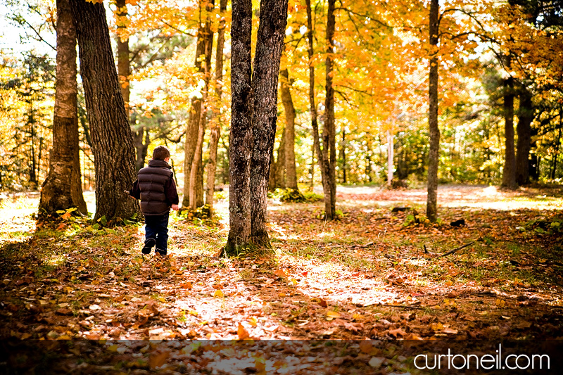 Family Photo Shoot - boy in the trees