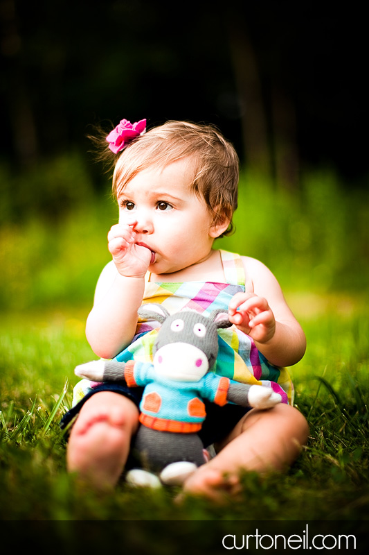 Macy at 9 months - baby photography - Macy and Donkey in the grass
