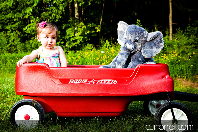 Macy at 9 months - baby photography - Macy and elephant in the wagon