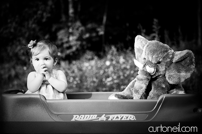 Macy at 9 months - baby photography - Macy and elephant in the wagon
