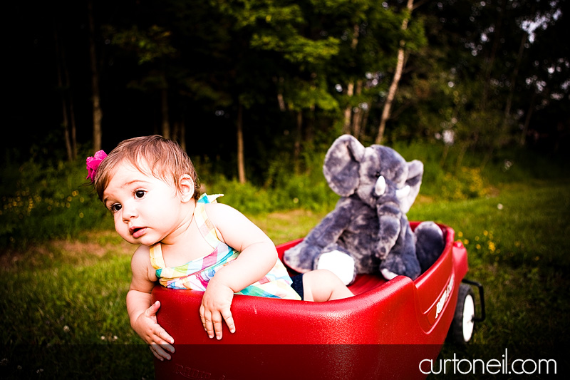 Macy at 9 months - baby photography - Macy and elephant in the wagon