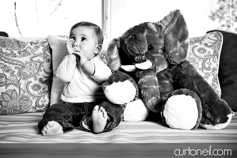 Macy six month baby shoot - Macy and her elephant