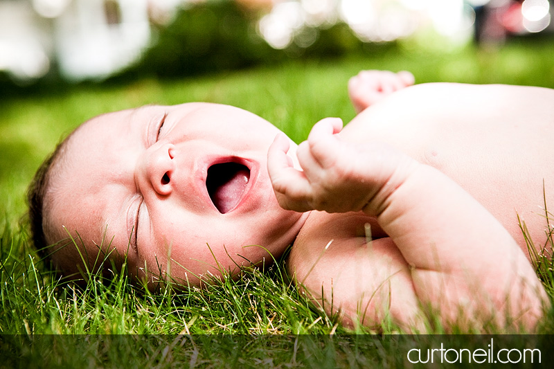 Newborn photography - Charlie - in the grass