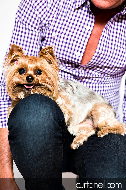 Sault Ste Marie Pet Photographer - PAWsome Booth 2012 - pet portraits