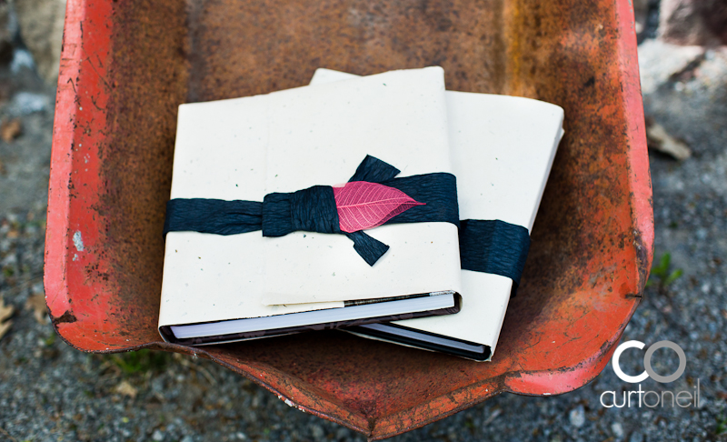 Wedding Albums offered by Curt O