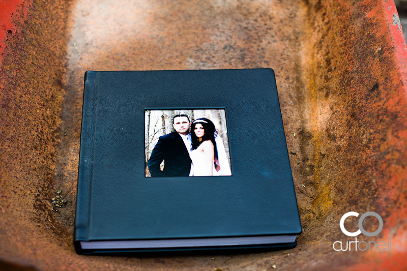 Wedding Albums offered by Curt O