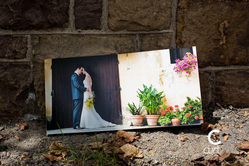Wedding Albums offered by Curt O'Neil Lifestyle Wedding Photograrpher in Sault Ste Marie, ON