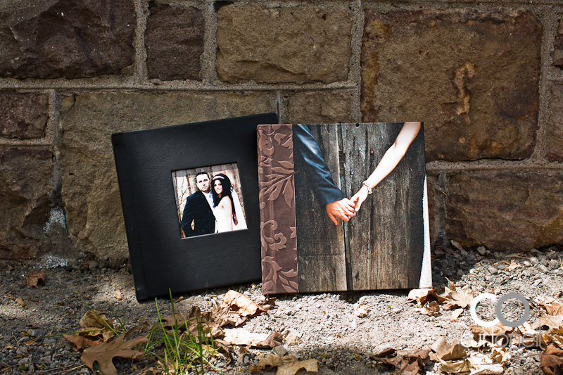 Wedding Albums offered by Curt O