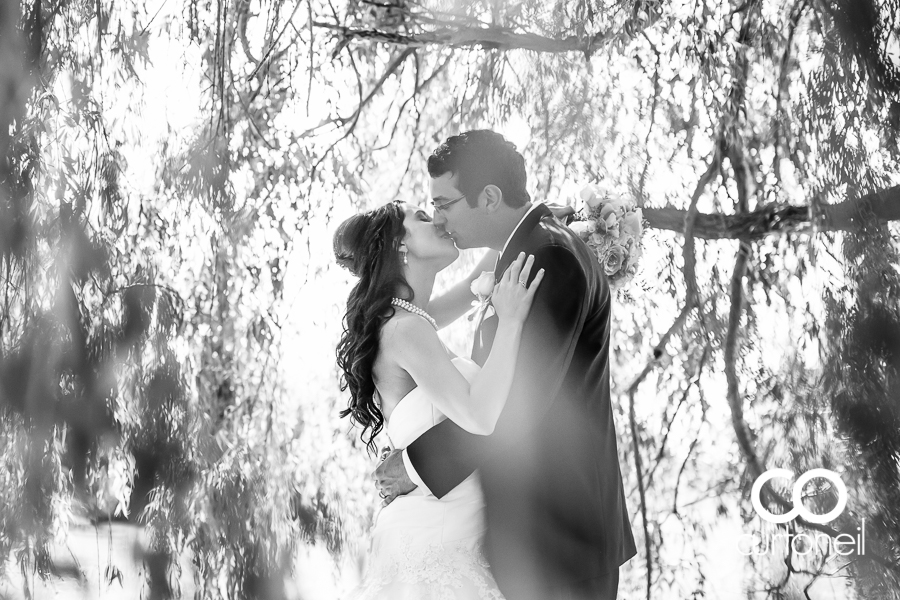 Sault Ste Marie Wedding Photography - Nicole and Johnny - sneak peek, willow tree at arboretum