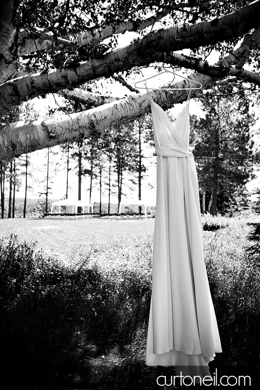Sault Wedding - Andrea and Marc - dress in a tree