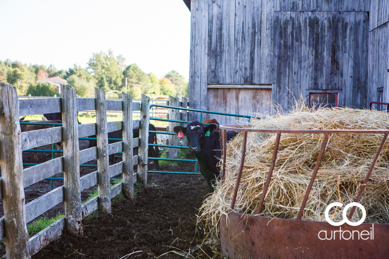 Sault Ste Marie Wedding Photography - Amanda and Denis - farm, summer wedding, hay bales