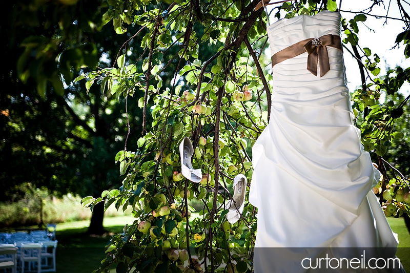 wedding gown in apple tree - st. joe's island wedding