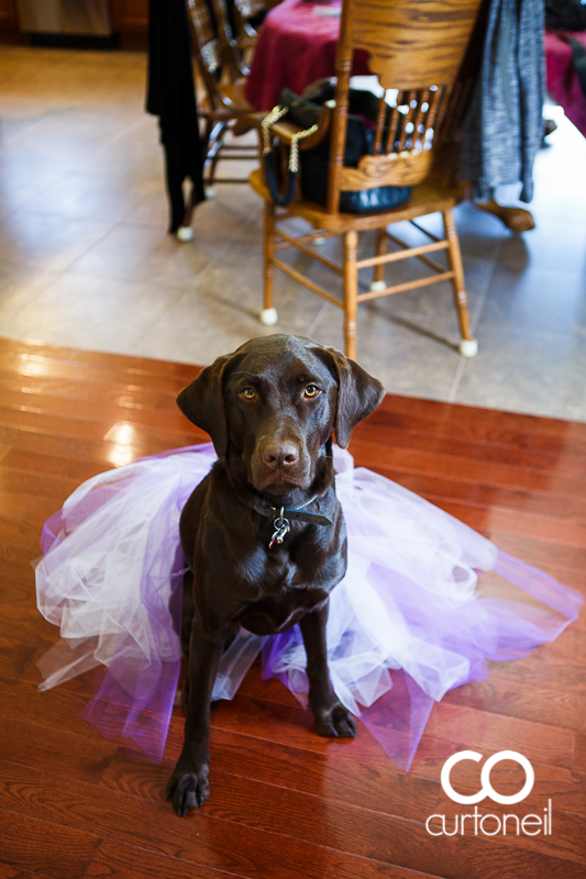 Sault Ste Marie Wedding Photography - Krista and Brian - fall, Fort Creek, Marconi, football