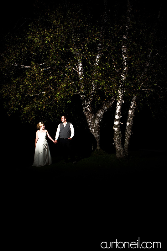 Sault Ste Marie Wedding - Katie and Paul - tree at night
